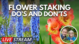 💚 Live | Staking Flowers - The Do's and Don'ts 😮