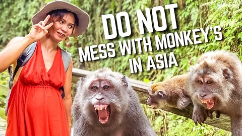 Seriously… Don’t Mess With Monkey’s In Asia…