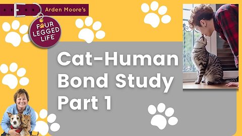 Cat-Human Bond Study Pt1