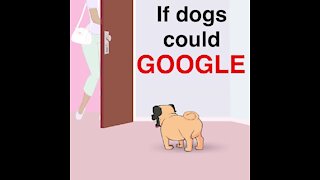 If dogs could google [GMG Originals]