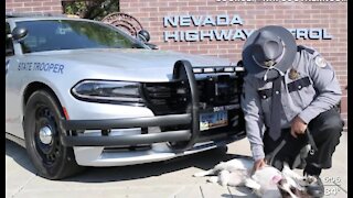 Nevada Highway Patrol says goodbye to dog