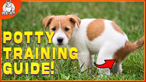 How To Potty Train Your Puppy FAST! (Plus More Puppy Training Hacks!)
