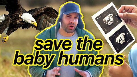 Are Baby Eagles More Protected Than Baby Humans?
