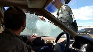 La polizia gli rompe il finestrino per tirarlo fuori dall'auto...