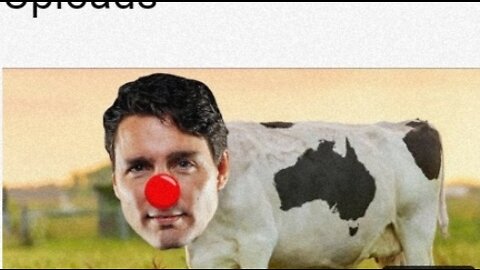 🤡 Justin Cow Trudeau 🐄