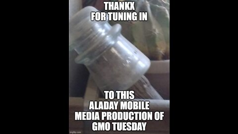 GMO Tuesday...How Bad is It???