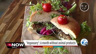 Veganuary: A month without animal products