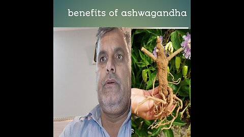 Benefits of aswaghanda.