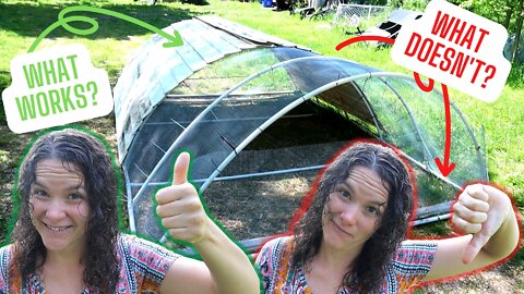 LOW-COST PVC HOOP COOP (Learn from My MISTAKES) ║ SELF-SUSTAINABLE FLOCK – Part 2