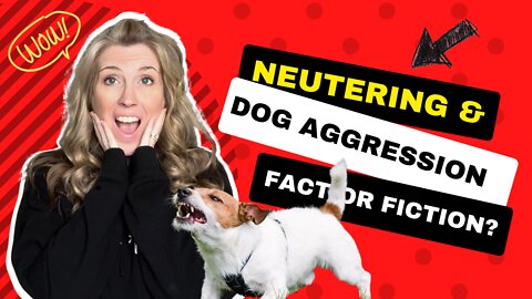 Is There A Correlation Between Intact Male Dogs and Aggression?