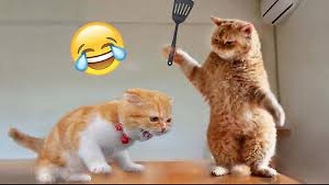 Funny animals / Part 16 😂 #pet #cat #dog #cute #animals #foryou #typ