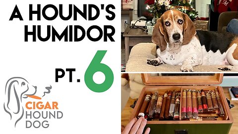 A Hound's Humidor Pt. 6 - Cigar Humidor Tour