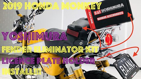 Honda Monkey 125 Yoshimura Fender Eliminator Install Guide!