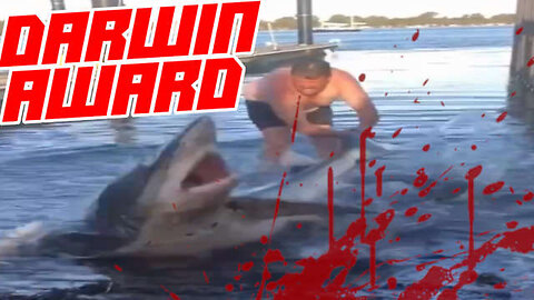 Shark Eats Idiot Who Tried To Save It