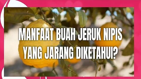 CARA bekerja jeruk nipis yang luar biasa untuk manusia