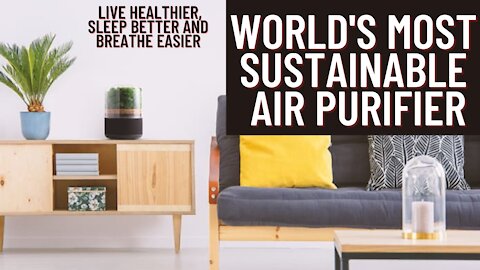 The World's Most Sustainable Air Purifier/ Cool Gadget on Amazon You Should Buy 2021/Tech Gadget
