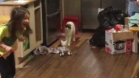 Cat Is Startled By A Robot Cat