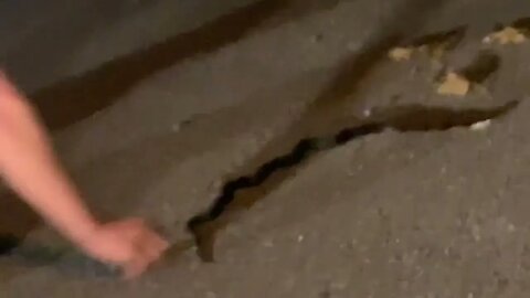 This Guy Is Going To Get The Snake Out Of The Road So She Don’t Get Hurt Let’s Watch