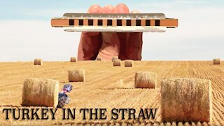 How to Play Turkey in the Straw on the Harmonica