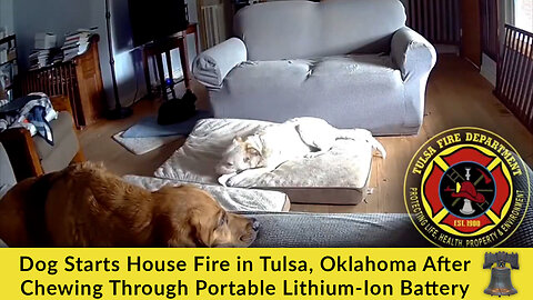 Dog Starts House Fire in Tulsa, Oklahoma After Chewing Through Portable Lithium-Ion Battery