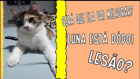 Gato doente ou com calor? | Calistenia | Como deixar de ser INVÍSIVEL [Vlog #1]