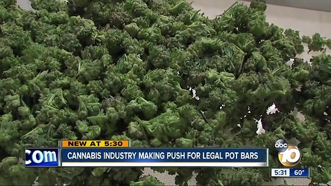 Cannabis industry calls for legal pot bars