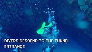 Divers find hiding creatures on ocean floor