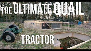 The Ultimate Quail Tractor!/ Building With Rufus