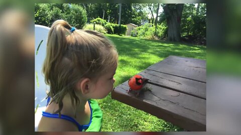 Three-year-old Grand Island girl deemed "bird-whisperer"