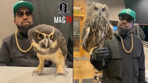 Outkast's Big Boi Brings Pet Owl's To The Studio! 🦉