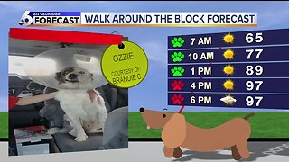 Funny Walk Around the Block forecast