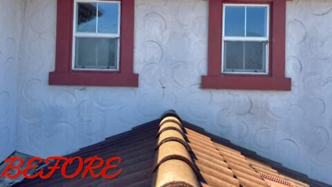 Roof and House sanitizing soft wash and treatment