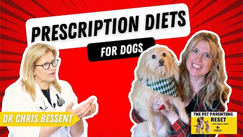 HELP! My Dog Needs A Prescription Diet