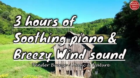 Soothing music with piano and breeze wind sound for 3 hours, music for healing & positive energy