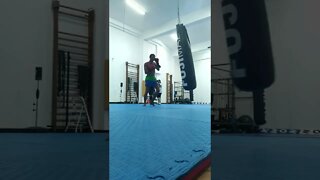 Kick, Punch, Elbow And Knee The Bag (11)