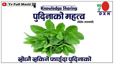 पुदिनाको फाईदा यस्तो छ ll पुदिनाको महत्व बारेमा बिशेष भिडियो ll भान्सा औषाद्यालय बन्नु पर्छ !!!