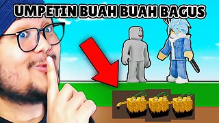 AKU UMPETIN BUAH BAGUS DI TEMPAT RAHASIA BLOX FRUIT!?