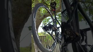 ZIPP Wheels Course 30 Freehub Sound // Road Bike ASMR [4K HDR]