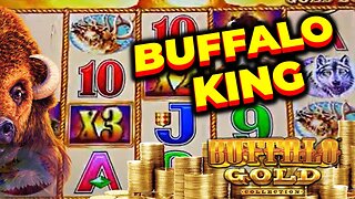 Hitting Jackpots Playing High Limit Buffalo Gold!