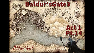 Baldur's Gate 3 Act 1 pt. 14