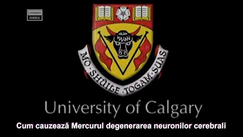 Cum provoacă Mercurul leziuni ale neuronilor creierului - Universitatea din Calgary.