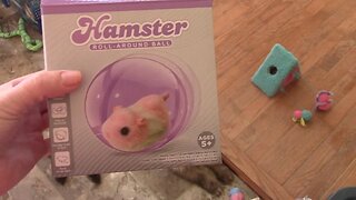 Hamster Roll Around Ball From Five Below Review 😀