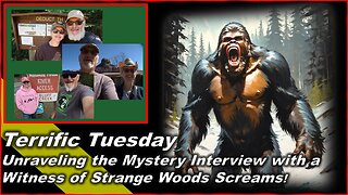 Unraveling the Mystery Interview with a Witness of Strange Woods Screams