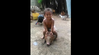 kid sitting on the pig gone wrong. funny video you really enjoy this video