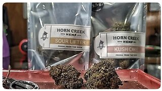 Sour Lifter & Kush Cake (HORN Creek)