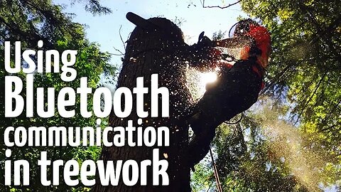 Douglas Fir tree removal | Good communication is key