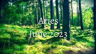 Aries "Go your own way"