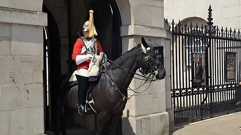 Arnie launches at tourist she runs #horseguardsparade