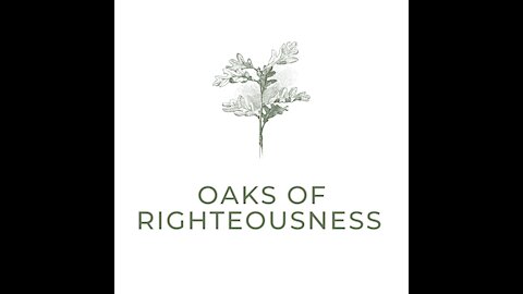 Episode 1: Oaks of Righteousness