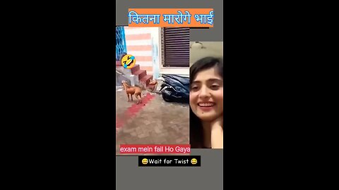 Monkey and dog ki masti